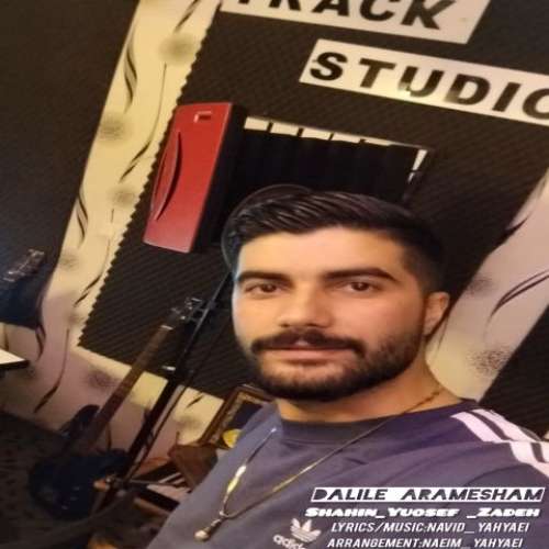شاهین یوسف زاده دلیل آرامشم